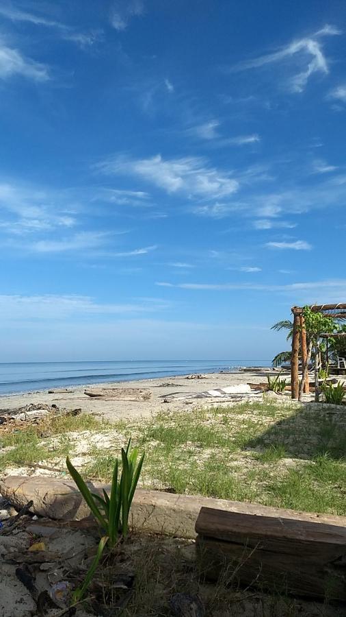 San Onofre Urantia Beach Hostel & Camping מראה חיצוני תמונה