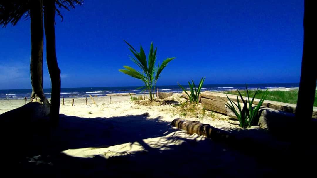 San Onofre Urantia Beach Hostel & Camping מראה חיצוני תמונה